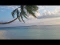 Most Beautiful Views I've Ever Seen: My Maldives Vacation🤍 🌊🏝️🌴 #shorts #viral #maldives #views