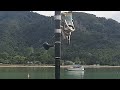 How to land a huge fish solo from a jetty