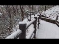 A walk in the forest on a snowy day, the sound of snow, the sound of the wind, white noise asmr