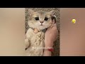 New Funny Animals 2023 😱 Funniest Cats and Dogs 😻😹 Part30