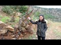 Gaziantep'te Büyük Cennet - Fotokapana Alternatif - Çakalların Sesi - Keşif Kampı (4K)
