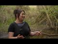 Beavers bring wetlands back to the UK | WILD HOPE