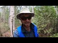11-Day Wilderness Trout Fishing Trip | Solo Camping & Canoeing