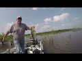 Catching bass on cypress trees and buck brush.