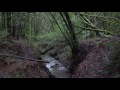 Baltimore Canyon 1080p 60 fps Sony FDRAX53 100mps