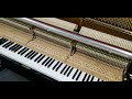 Sauter Microtone Piano