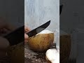 fresh coconut water, amazing coconut peeling skills part 237#cuttingskills #coconutwater#coconutmilk