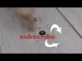 🟢 Router Table Insert Plate and Router Lift Build - DIY - Part 1