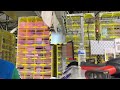 Day in the life of an amazon warehouse stower (inside footage)