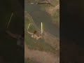 Jedi Survivor Mogu Flying glitch.