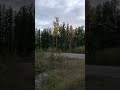 strange unknown noise caught on video