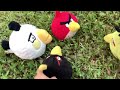 Angry Birds : Flock Chronicles | Summers Start (Episode 4)