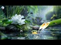 Relaxation Music: soothing water sounds, Full Nature Sound Brain Therapy, Sleep Relaxation, Insomnia