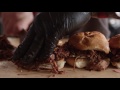 Pulled Brisket Sandwich Recipe