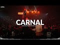 Carnal ✘ Peso Pluma x Natanael Cano | LETRA / LYRICS