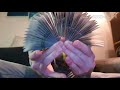 Cardistry/flourishes