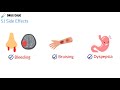 How Does Clopidogrel (Anti-platelets) Work? (+ Pharmacology)