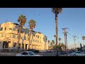 Crows swarming in University Heights San Diego