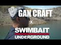 How To Fish The Gan Craft Jointed Claw 230 Glide Bait!