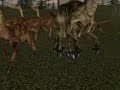 Hostile gallimimus? what's going on?