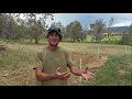 Young farmers crushing it in the High Desert | Regenerative Agriculture | Grassfed Beef