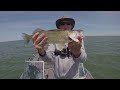 Three Methods for Catching Lake Erie Walleye