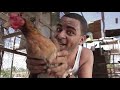 Nfasis - Gallina y Avetruces (Video oficial)