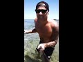 Wild Encounter With A Big Hammerhead Shark #Shorts