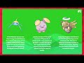 Pokédex Imposter Quiz! Which Pokédex is LYING? - Hoenn Region