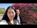 Japan travel vlog 🇯🇵 Dotonbori neon-lit streets, Osaka Castle scenery, Osaka panoramic city views