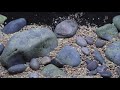 New river stream aquascape (step-by-step guide 2020)