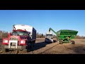 2018 WI Soybean Harvest - M&E Farms