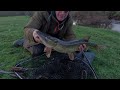 River Wharfe dead bait last session