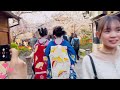 芸鼓さん舞妓 さん めっちゃきれい🥰maiko #舞妓  #maiko #kyoto Kyoto Gion japan 4k🪭👘