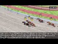 エルムステークス2024 枠順確定前シミュレーション【競馬予想】【展開予想】エルムS