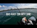 Dana Point Kayak Fishing Adventure Sheephead