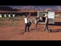 Monument Valley Land der Navajos- Trail Ritt mit Fox Trottern der Miller-Ranch, Arizona