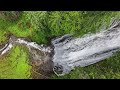 Washington PNW River Chill Relaxation 4K