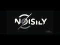 Noisily 2018 final build...