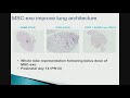 Stella Kourembanas, MD: Mesenchymal Stem-Cell Derived Exosomes: “Next” Therapy for BPD?