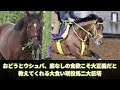 【競馬の反応集】「最新のウシュバテソーロさんがこちら」に対する視聴者の反応集