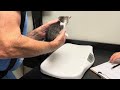 Kittens’ First Veterinary Visit