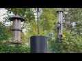 Bird Feeder   4K