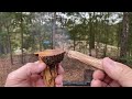 Hidden Fatwood In Pine Burls, Fatwood Bearing Block Demo!