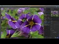 PHOTOSHOP (Depth Blur Neural Filter) Create Shallow Depth of Field Effects