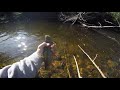 Luella Lake Brook trout fishing