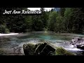 Sounds of a beautiful mountain river flowing in the forest - nature sounds,white noise for sleeping
