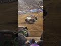 monster mutt freestyle slc 2023