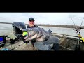 102 Pound Blue Catfish Tennessee River