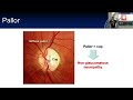 Lecture: Examining the Optic Nerve